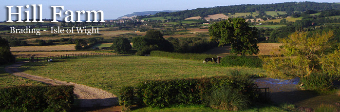 Hill Farm Barn and Lodge, Self Catering cottage on the Isle of Wight - Isle of Wight Cottage Holidays